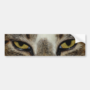 Cat's eye bumper sticker