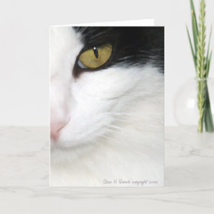 Cats Eye Card