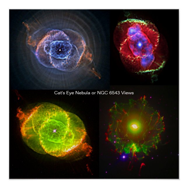 Cat's Eye Nebula or NGC 6543 Views Poster (Front)