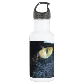 Cat's Eyeing You 532 Ml Water Bottle