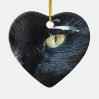 Cat's Eyeing You Ceramic Ornament