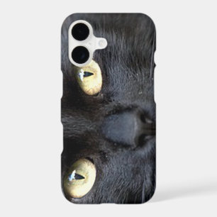 Cat's Eyes