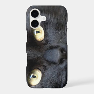 Cat's Eyes