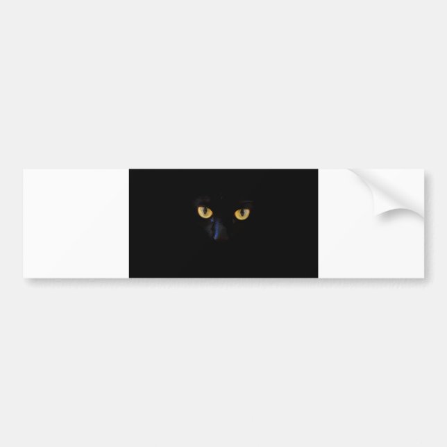 cats eyes bumper sticker (Front)