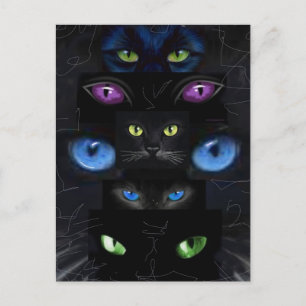 Cat's eyes postcard