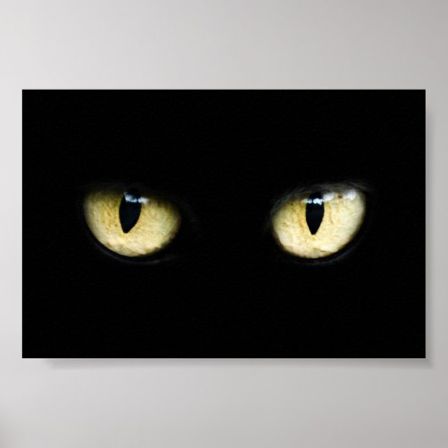 Cat's Eyes Poster (Front)