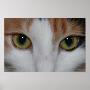 Cat's Eyes Poster
