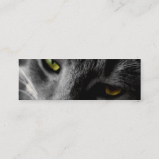 Cat's Eyes Profile Cards