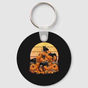 Cats Fall Autumn Pumpkins Thanksgiving Matching Key Ring