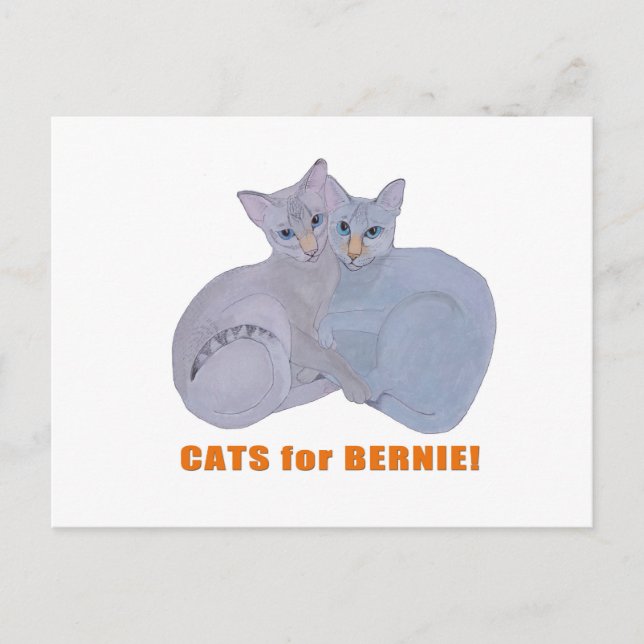 Cats for Bernie! Postcard (Front)
