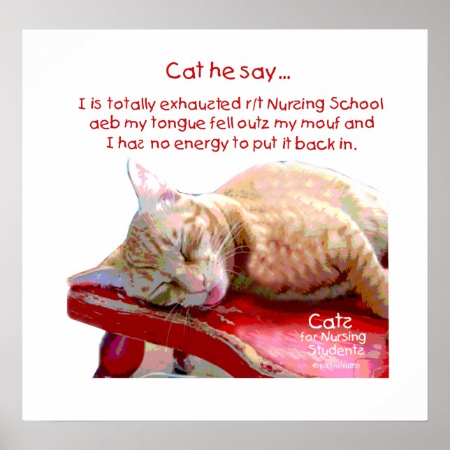 Cats for Nursing Students - Exhaustion Poster (Front)
