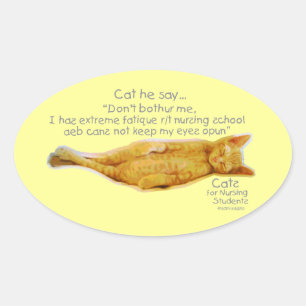 Cats for Nursing Students - Extreme Fatigue Oval Sticker