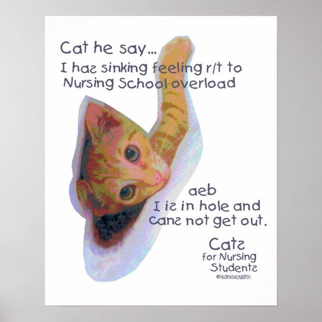 Cats for Nursing Students - I has Sinking Feeling Poster (Front)