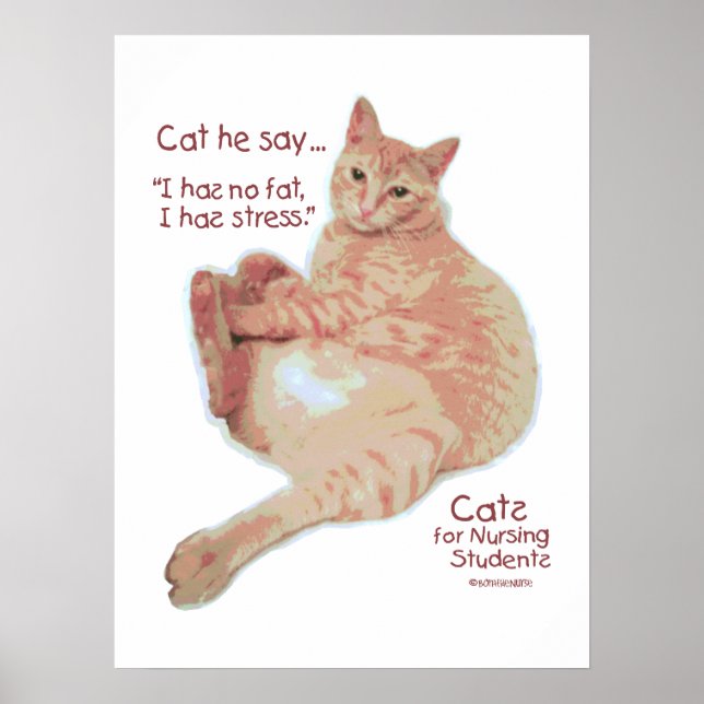 Cats for Nursing Students - I has Stress Poster (Front)