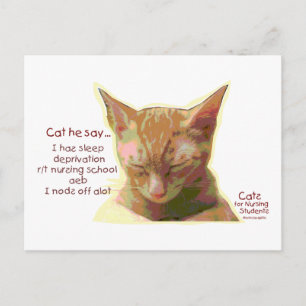 Cats for Nursing Students - Sleep Deprivation Postcard