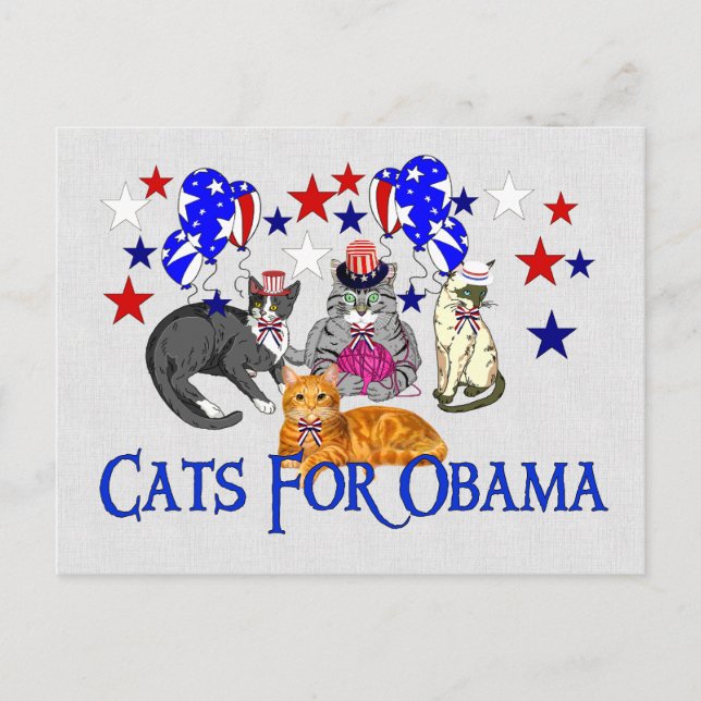 CATS FOR OBAMA POSTCARD (Front)