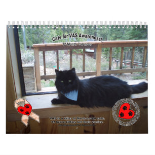 Cats for VAS Awareness! Calendar