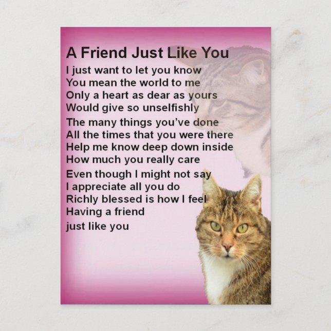 Cats   Friend Poem Postcard (Front)