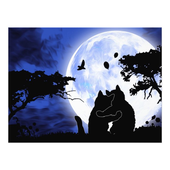 cats full moon photo print (Front)