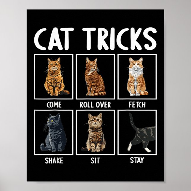 Cats Funny Cat Tricks  Poster (Front)