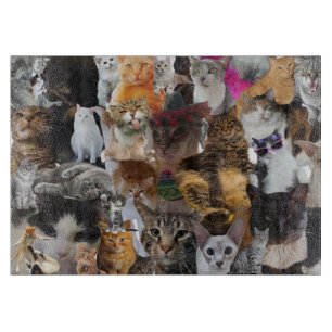 Cats Galore, Large Glass Cutting Board