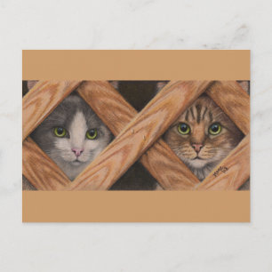 Cats Grey Tabby behind lattice fence postcard