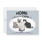 Cats Have Moved Postcard