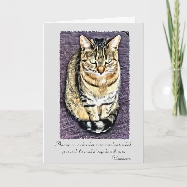 Cats have touched your soul Pet Sympathy Card (Front)