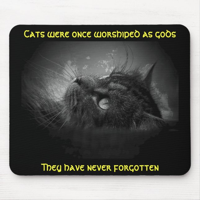 Cats haven't forgotten Meme Mouse Pad (Front)