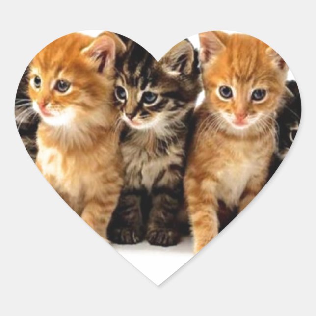 CATS HEART STICKER (Front)