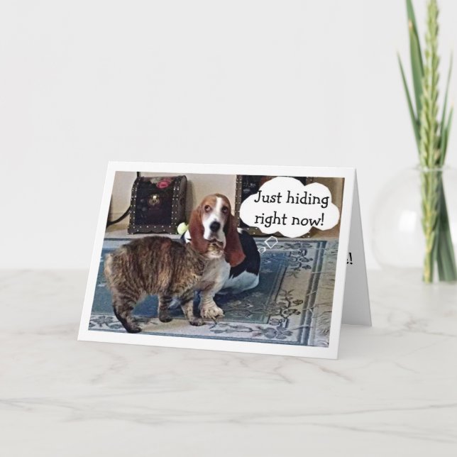 CATS HIDES BEHIND BASSET HOUND-BIRTHDAY WISHES CARD (Front)