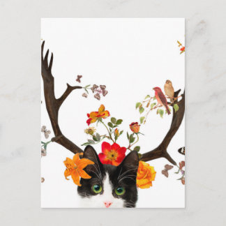 Cat's Horns Postcard