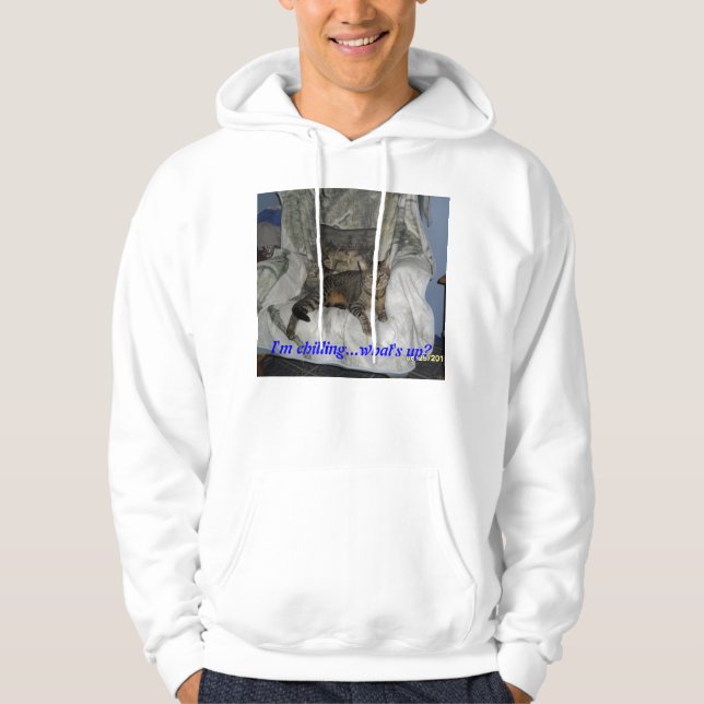 cats, humour hoodie (Front)