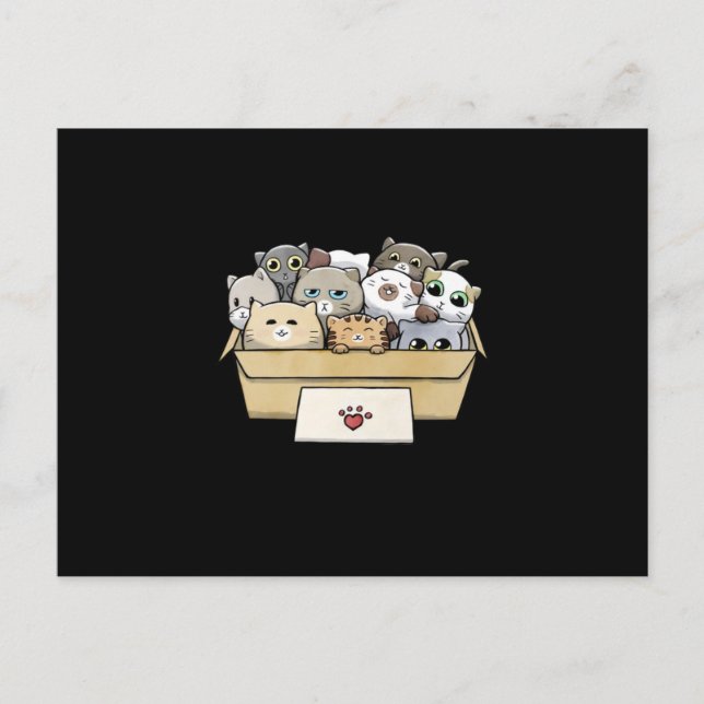 Cats In A Box Cat Day Cat Lover Announcement Postcard (Front)