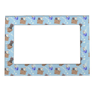 Cats in box and milk drops on blue magnetic frame