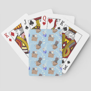 Cats in box and milk drops on blue playing cards