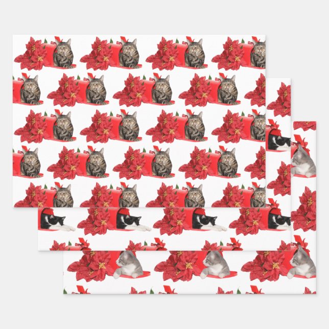 Cats in Christmas mail box Wrapping Paper Sheet (Set)