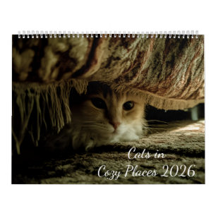 Cats in Cozy Places 2026 Calendar