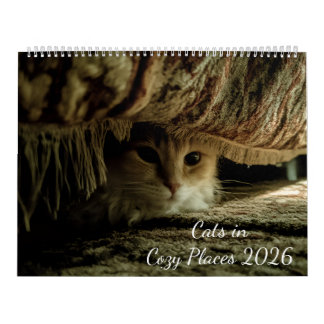 Cats in Cozy Places 2026 Calendar