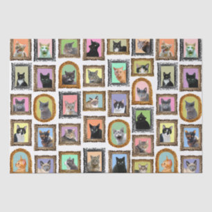 Cats in Frames Tissue Paper