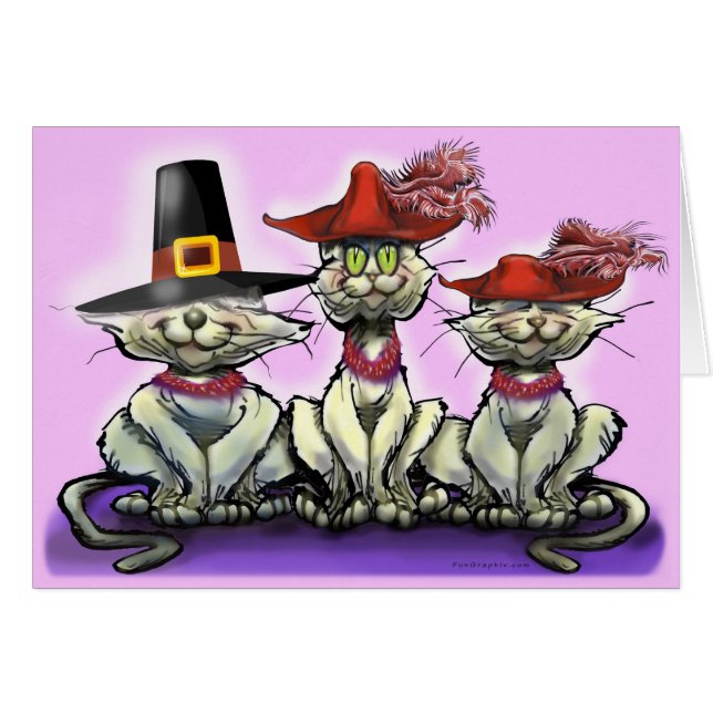 Cats in Funny Hats (Front Horizontal)