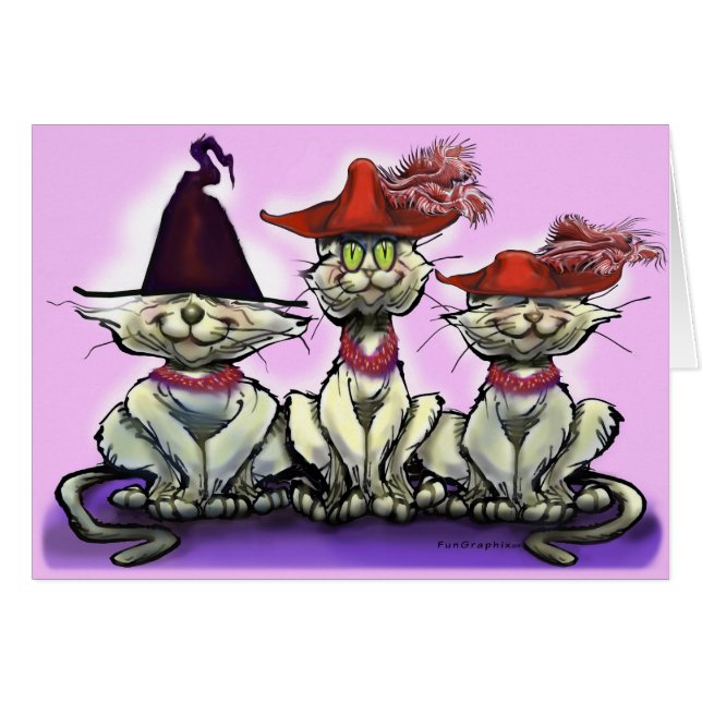 Cats in Funny Hats (Front Horizontal)