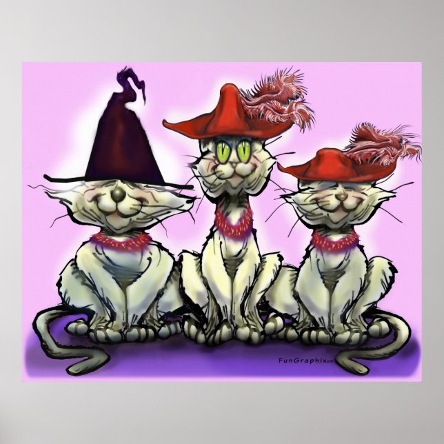 Cats in Funny Hats Poster (Front)