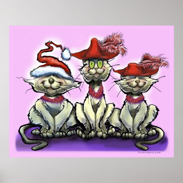 Cats in Funny Hats Poster (Front)