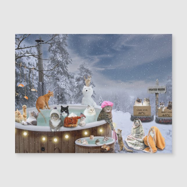 Cats in Hot Tub Winter Scene (Front)