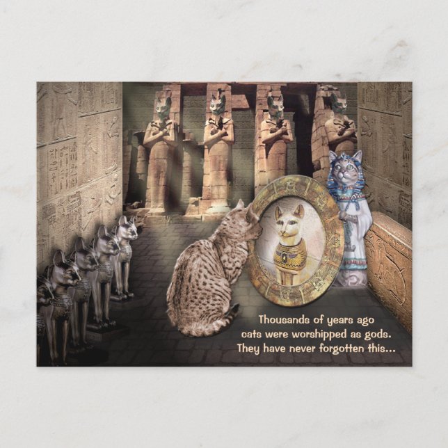 Cats in Old Egypt Postcard (Front)