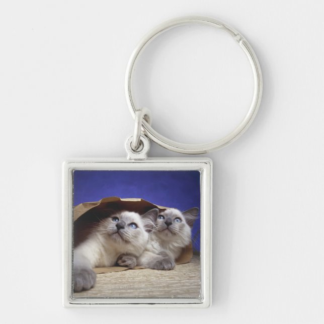 Cats in paper bag key ring (Front)