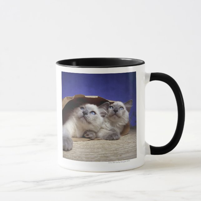 Cats in paper bag mug (Right)
