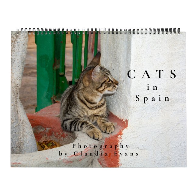 Cats in Spain Calendar (Cover)