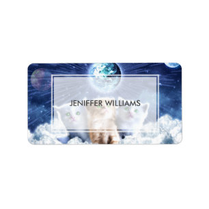 Cats in the cloud                                  label